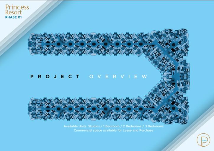 Project Overview